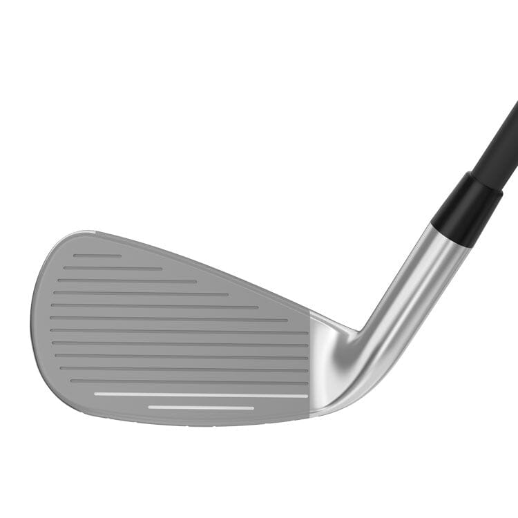 Cleveland Halo XL Full Face Ladies Irons LH CLEVELAND HALO XL IRON SETS Cleveland