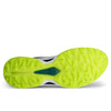 Ecco Biom C5 Golf Shoes ECCO MENS SHOES Ecco 