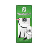 FootJoy Weathersof Ladies Golf Glove LH FOOTJOY LADIES GLOVES Footjoy 