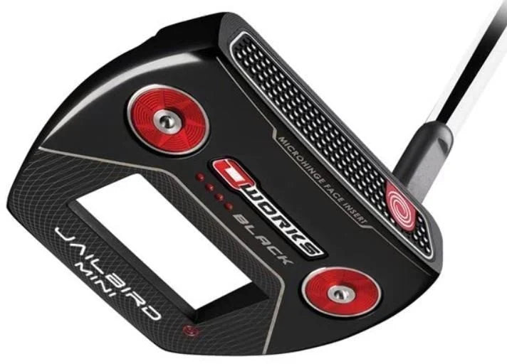 Purchases Odyssey putter