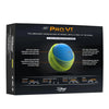 Titleist Pro V1 Yellow Golf Balls 12Pk TITLEIST BALLS Titleist 