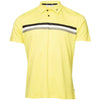 Calvin Klein Parker Golf Polo Shirt CK MENS POLOS Galaxy Golf 